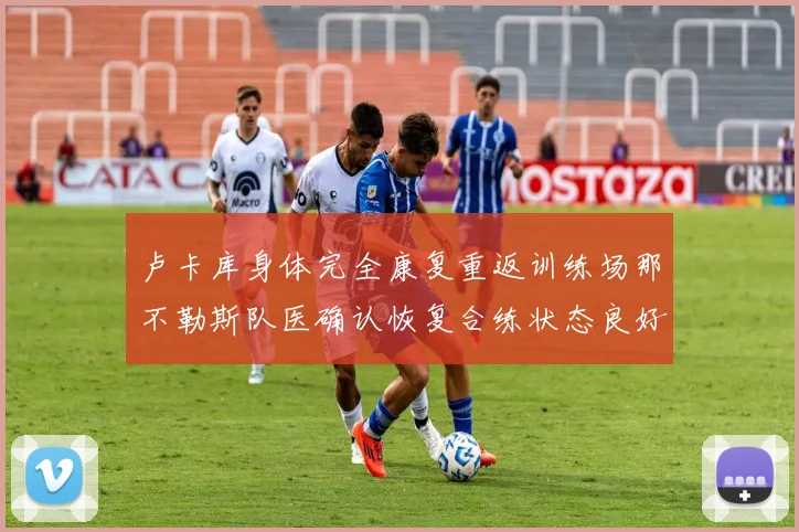 卢卡库身体完全康复重返训练场那不勒斯队医确认恢复合练状态良好