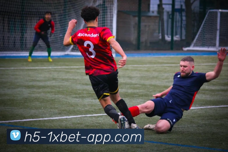 1xbet官网平台生态图