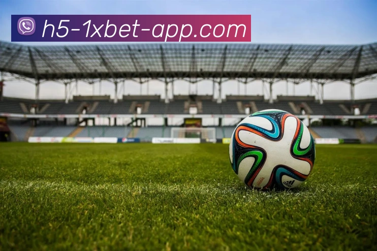 App 展示图
